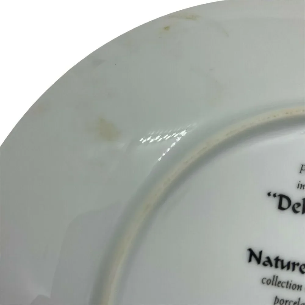 Bradford Exchange Hummingbird Plates Set Of Two Ceramic Nature's Little Treasure